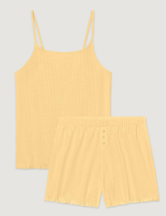 Women's Cotton Pointelle Rib Cami & Short Set